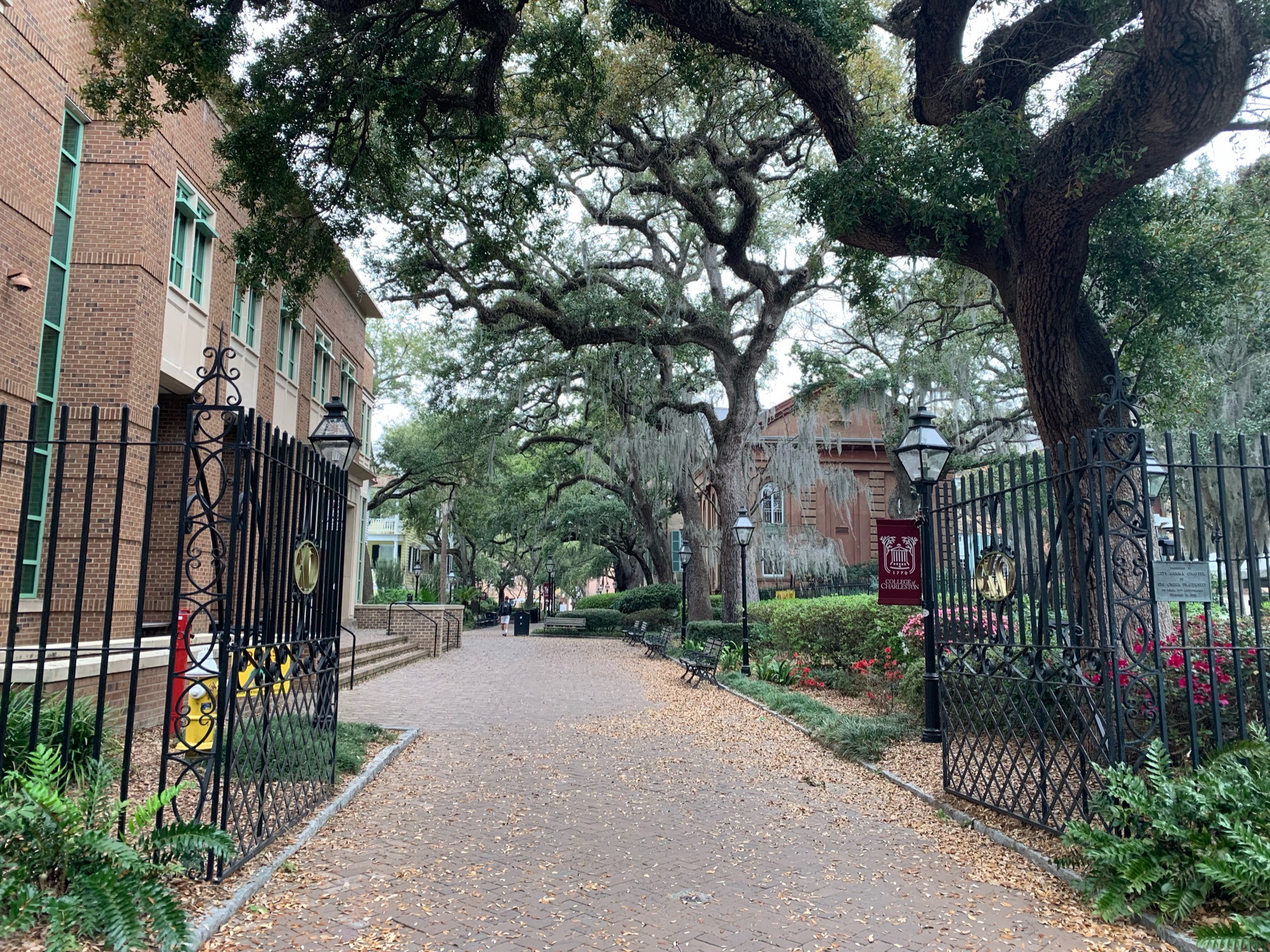 Visiting Charleston, SC.